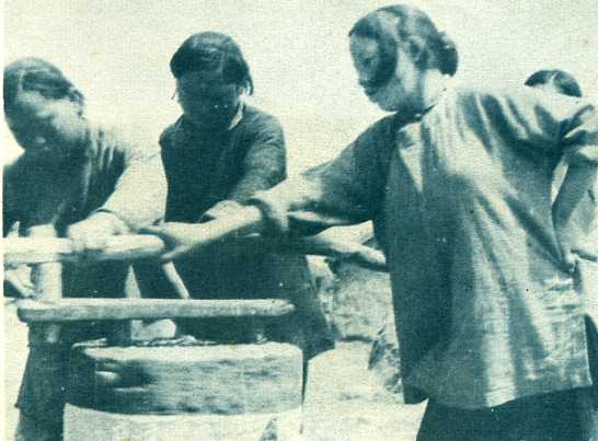 jssuqian-sihong-1950-zijiu2.jpg
